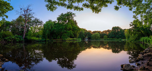 Reflection of trees in lake against sky