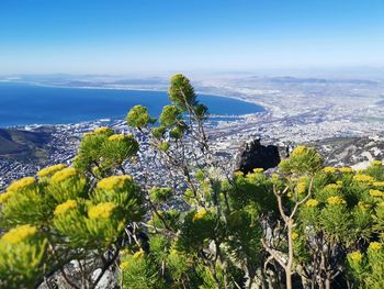 High angle view of trees and sea against sky