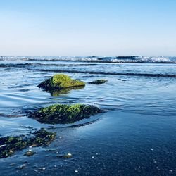 Scenic view of sea against clear sky