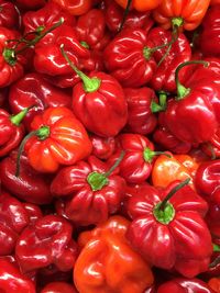Full frame shot of red bell peppers