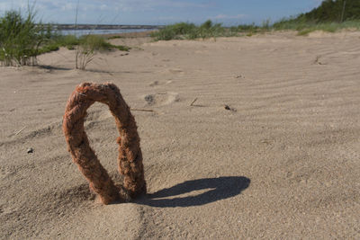 View of sandy beach