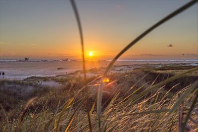 Scenic view of sea at sunset