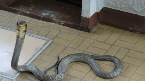 High angle view of tiled floor