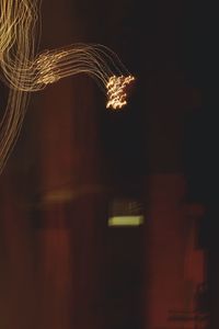 Low angle view of illuminated christmas lights at night