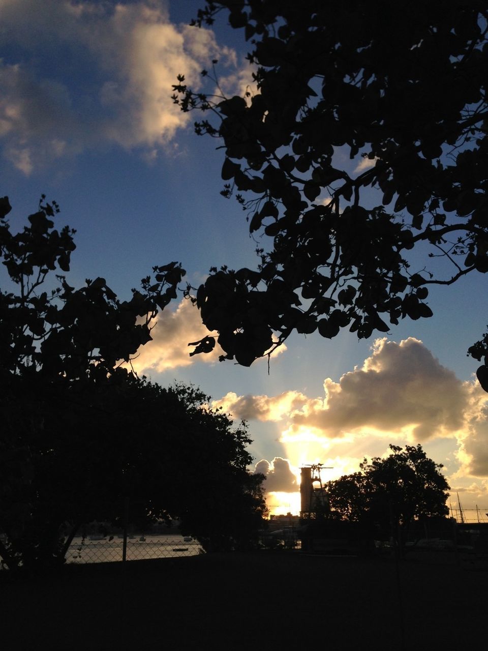 tree, sunset, silhouette, sky, cloud - sky, beauty in nature, tranquility, scenics, tranquil scene, nature, cloud, growth, branch, orange color, idyllic, sunlight, cloudy, outdoors, low angle view, no people