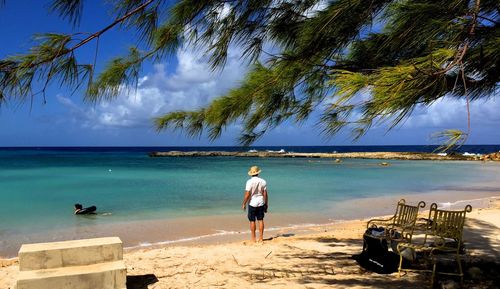 Rear view of man standing on beach