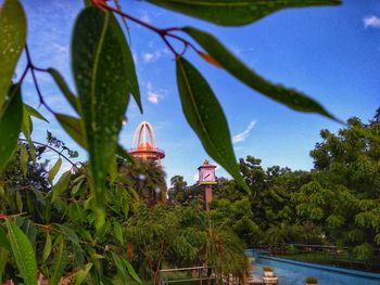 Plants and trees by building against blue sky