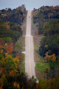 Scenic view of road amidst trees during autumn