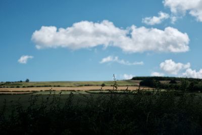 Scenic view of agricultural field against sky