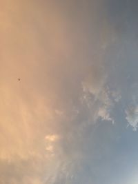 Low angle view of bird flying against sky