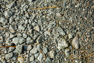 Full frame shot of pebbles on rock