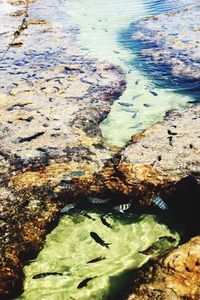 Rocks in pond