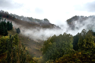 Scenic view of waterfall in forest against sky