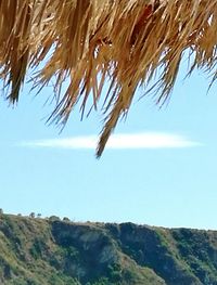 Close-up of sea against clear sky