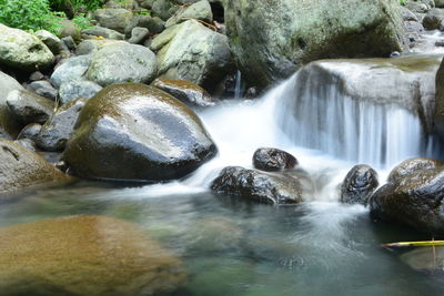 Scenic view of waterfall in forest