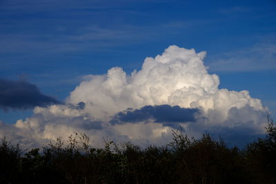 sky