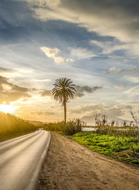 Road by trees on field against sky at sunset