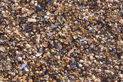 High angle view of stones on beach