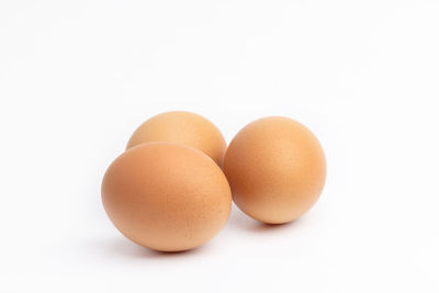 Close-up of eggs against white background