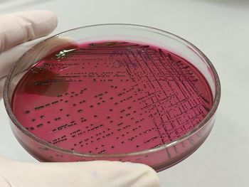 High angle view of food