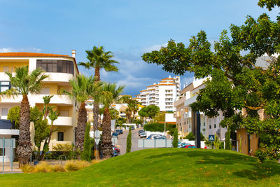 Houses in park