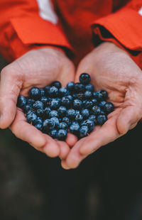 Close-up of woman holding fruit