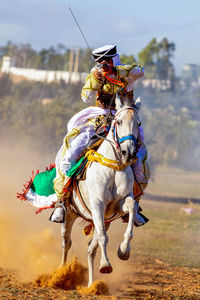 Horses on field