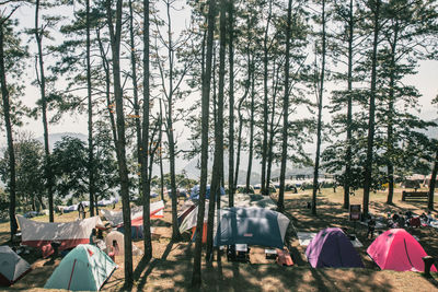 Group of people in the forest