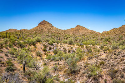 Scenic view of arid landscape against clear blue sky