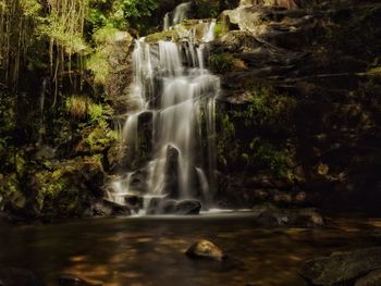 Scenic view of waterfall