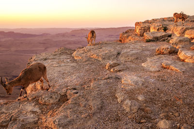 Rock formations on landscape against sky during sunset