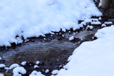 Close-up of snow on shore during winter