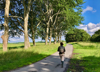 Rear view of a woman walking on a footpath along a lane of sunlit trees under blue sky