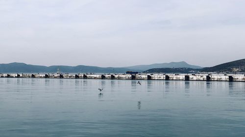 Sailboats in sea against sky