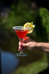 Cropped hand of woman holding drink