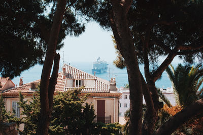 Trees and buildings in city