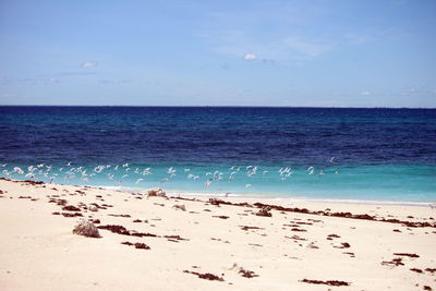 sea