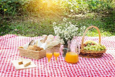 High angle view of food and drink on picnic blanket at park