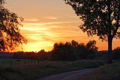 Silhouette trees on landscape against sky during sunset