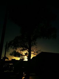 Low angle view of silhouette trees against sky at night