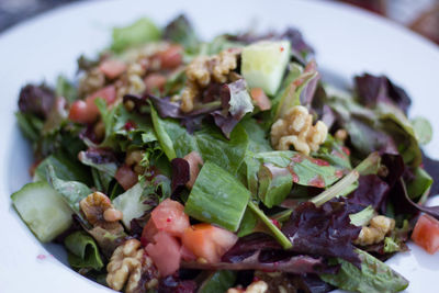 Close-up of salad in plate