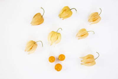 Close-up of yellow cake against white background