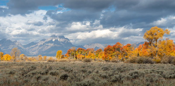 Scenic view of field against sky during autumn