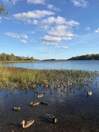 Scenic view of lake against sky