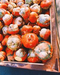 Close-up of pumpkins