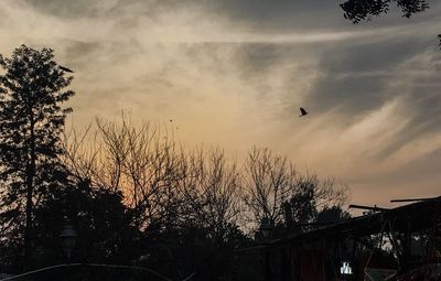 Low angle view of silhouette bird flying against sky