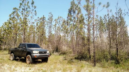 Car parked against trees