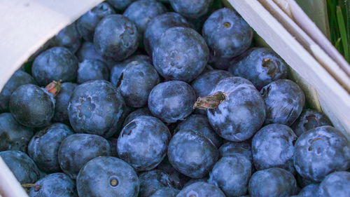 High angle view of blackberries in container