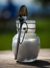 Close-up of insect on table