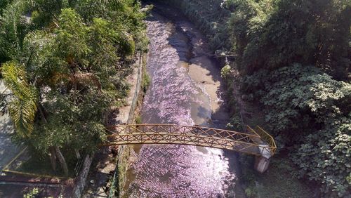 High angle view of footbridge over river in forest